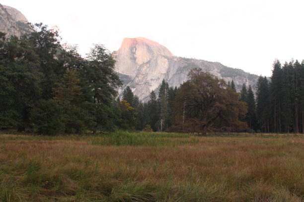 sunlight over Yosemite in the State of California where marijuana is legal.