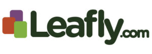 logo from the company Leafly